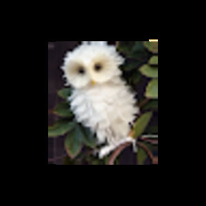 Meet your Posher, Frances